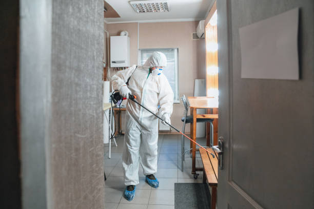 Best Real Estate Mold Inspection  in Lake Elsinore, CA