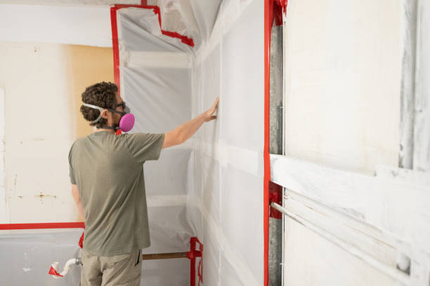 Best Industrial Mold Remediation  in Lake Elsinore, CA