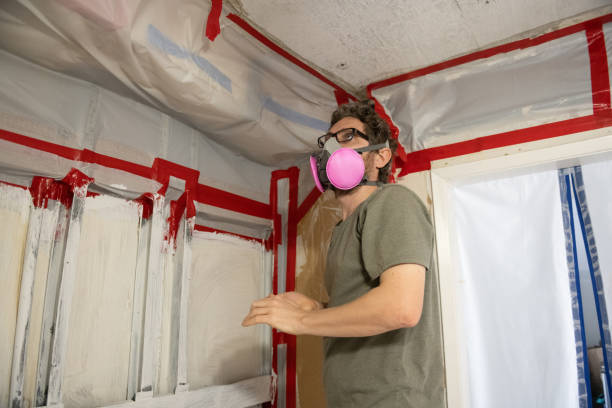Best Real Estate Mold Inspection  in Lake Elsinore, CA