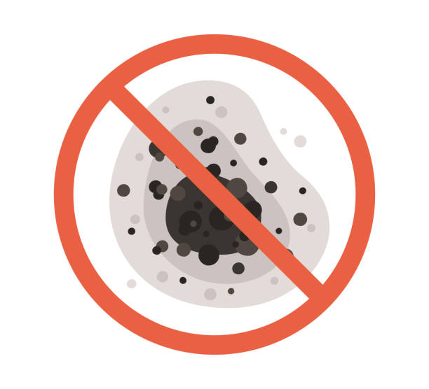 Best Mold Prevention Services  in Lake Elsinore, CA