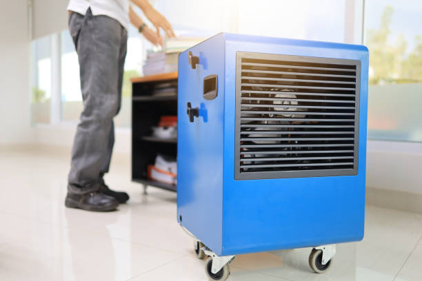  Lake Elsinore, CA Mold Removal Pros